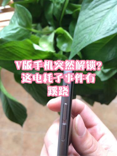 苹果v版在哪解锁(v版解锁后还会被锁吗)-第2张图片-有道翻译官网 苹果v版在哪解锁(v版解锁后还会被锁吗)-第2张图片-有道翻译官网